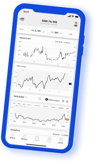 Gaugeworth Metrics digital web application on mobile device